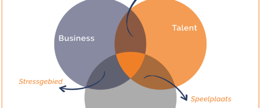 Whitepaper Talentontwikkeling - Horizon